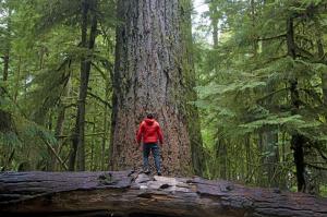 Kanada | British Columbia - Der Zauber Vancouver Islands Kanada | British Columbia - Der Zauber Vancouver Islands